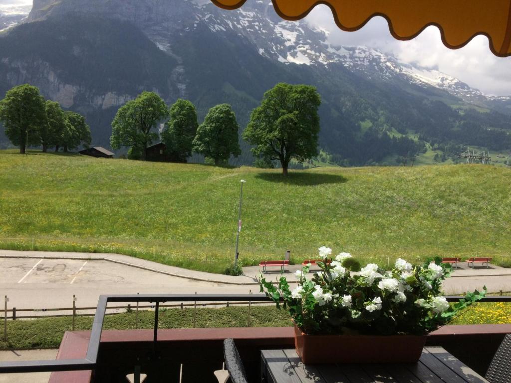 Luxury, new - amazing views Grindelwald Eiger Jungfrau Mönch photo 2