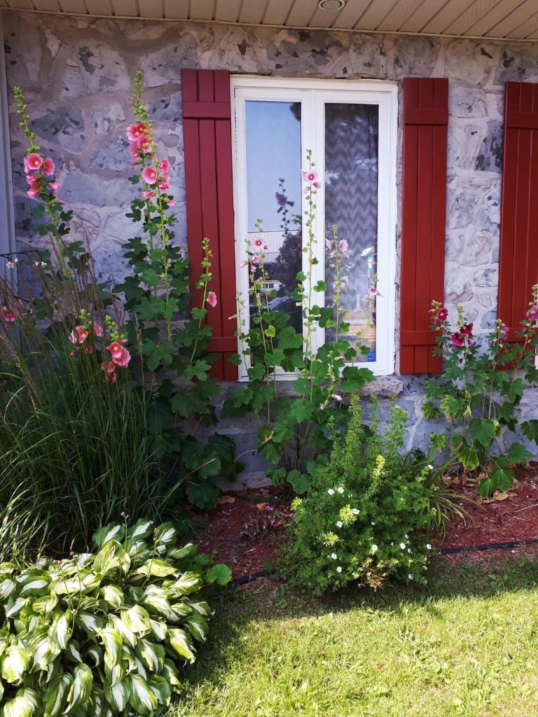 Au Gîte de la Chute photo 1