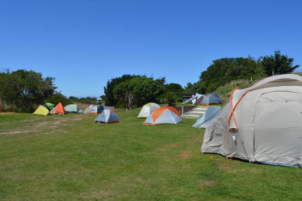 Dunedin Holiday Park photo 2