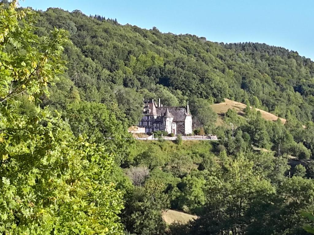 Chateau De Courbelimagne, Raulhac photo 1