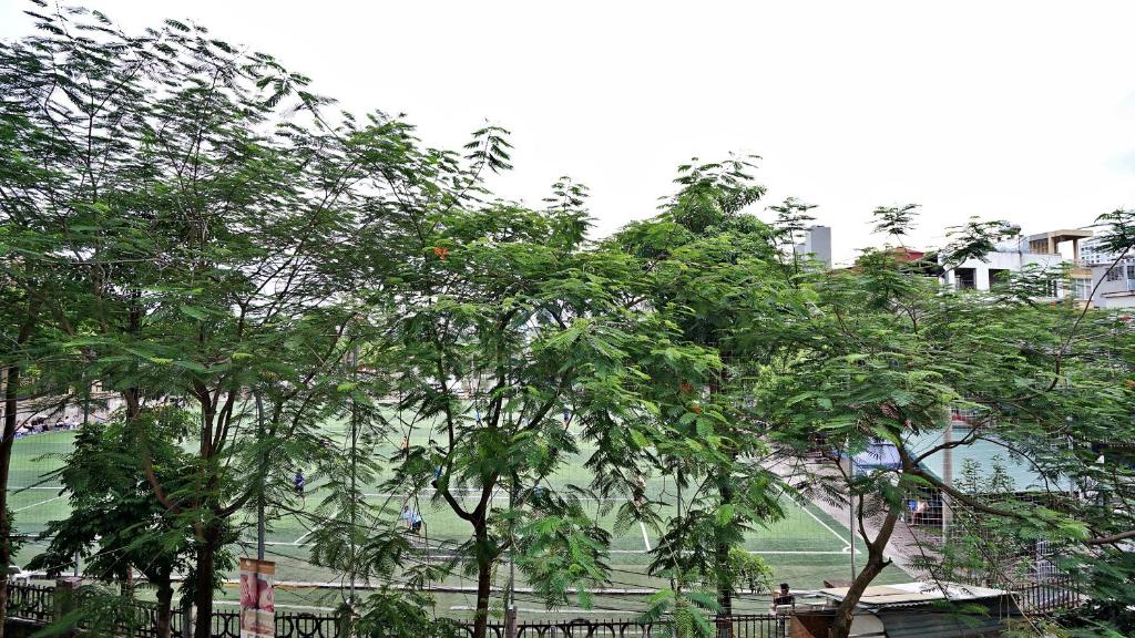 ARL Trinh Cong Son No.1