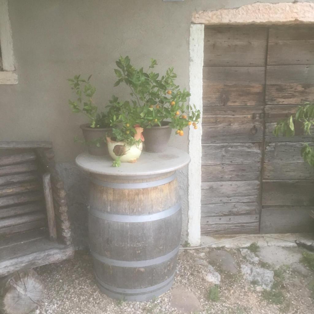 B&b Corte Giare photo 1