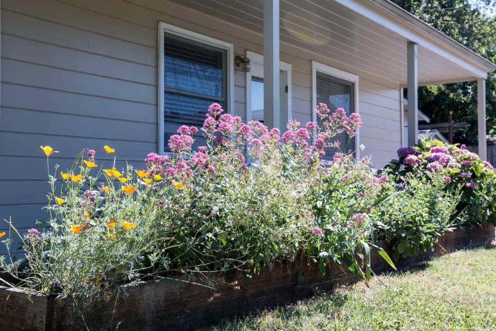 West End Neighborhood Cottage photo 2