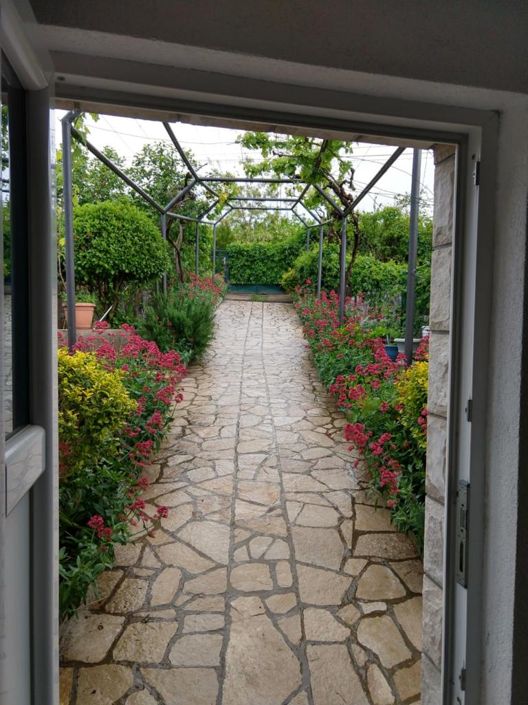 Villa Liberte photo 3