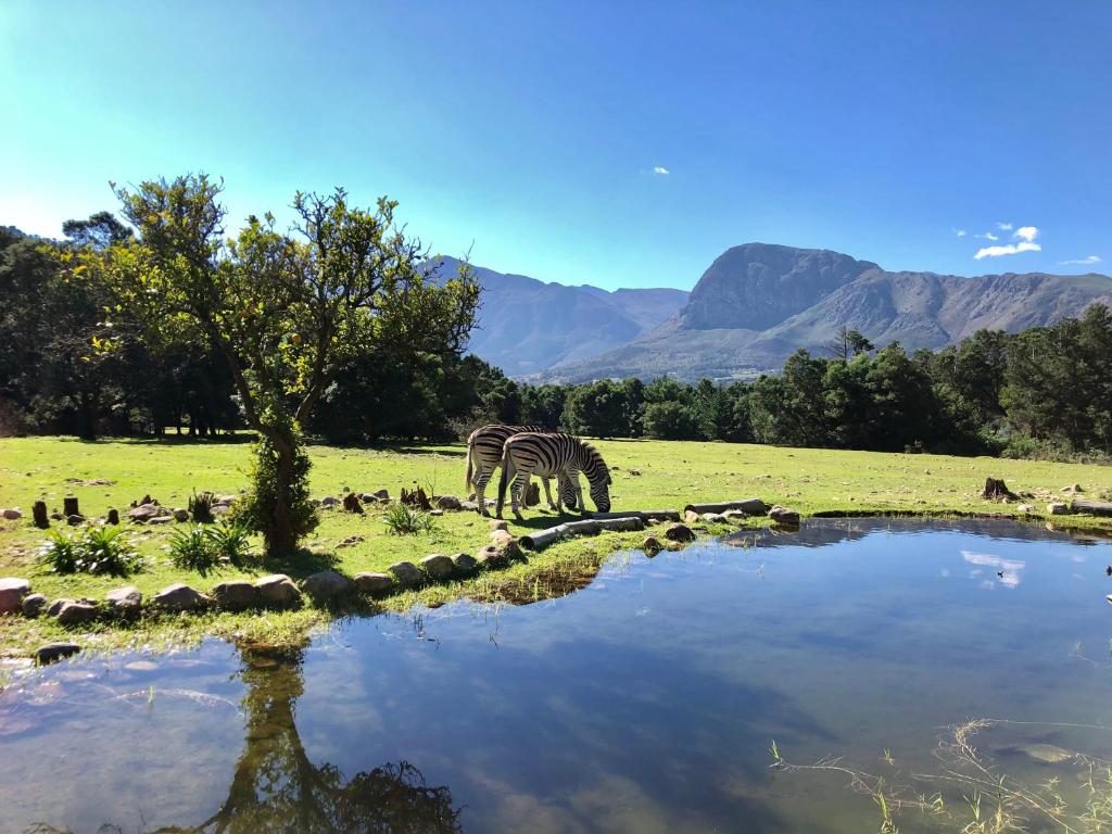 Franschhoek Country Cottages photo 2