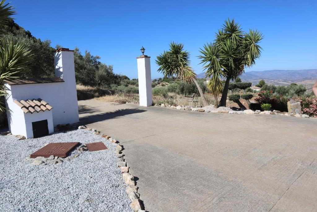 Casa Arts photo 4