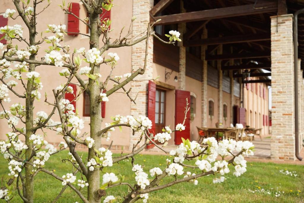 Agriturismo Ca' Lealtà photo 1