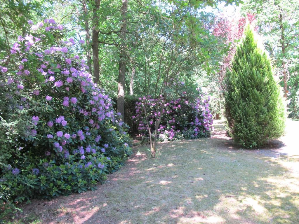 Rossis Haus photo 4