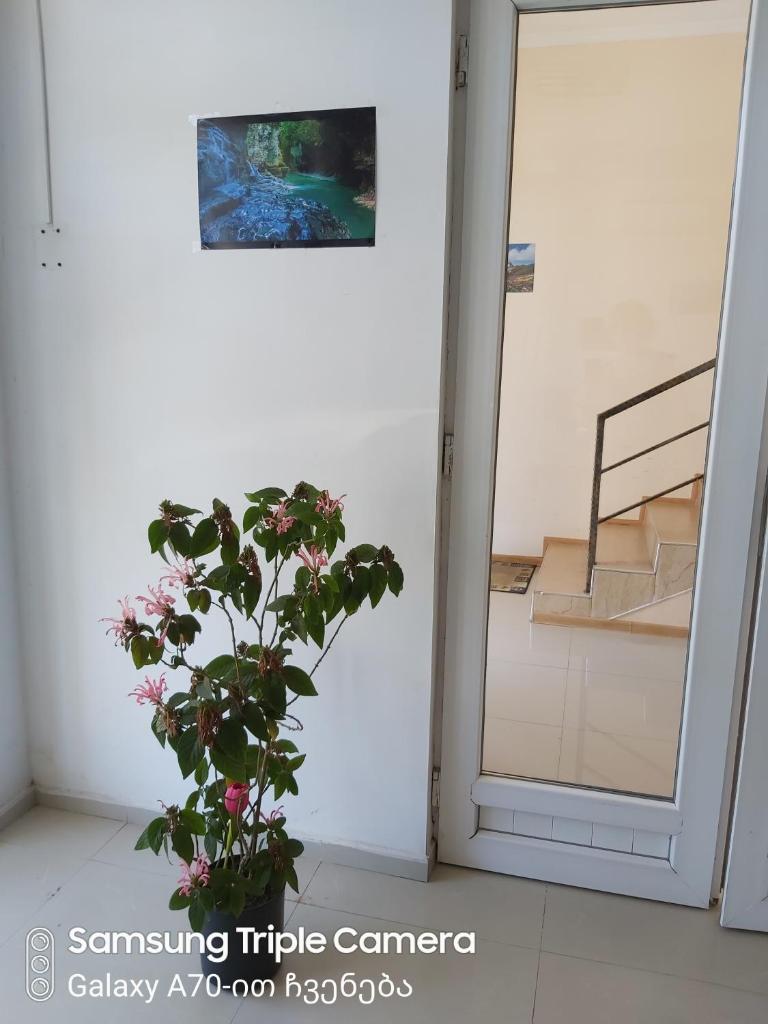 Martvili Newhotel photo 4