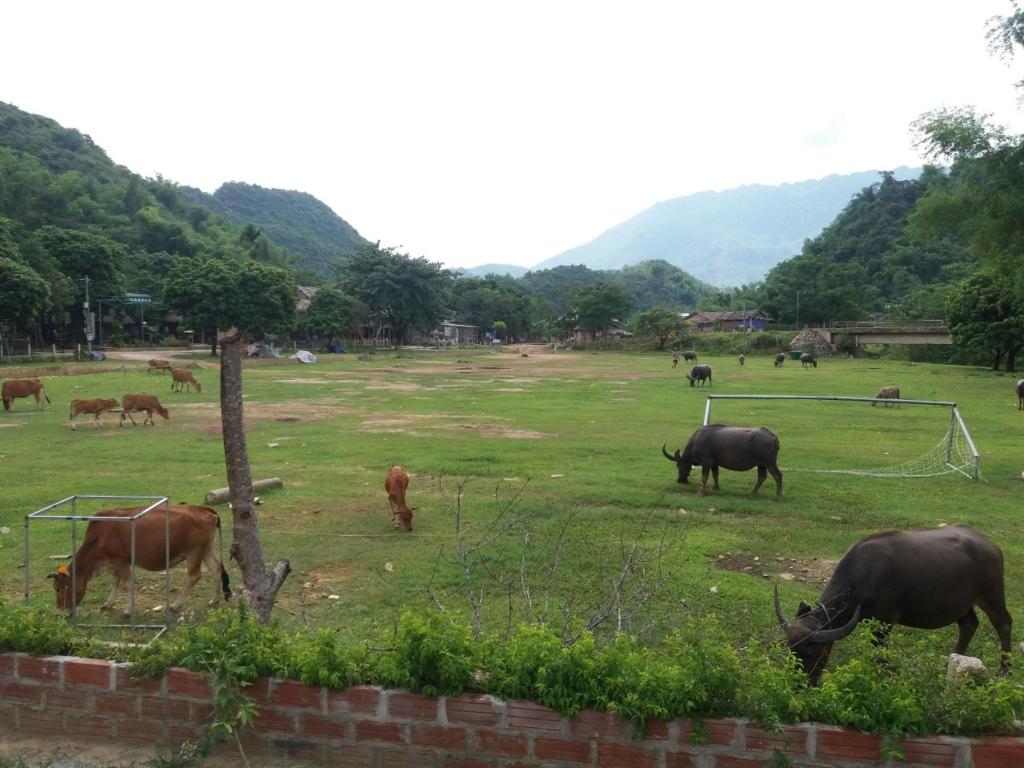 Mai Chau Xanh Bungalow