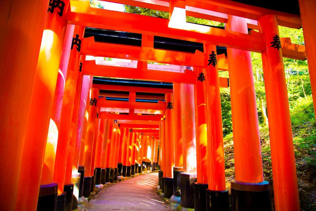 Wamikyo Homy - Tap to explore photos