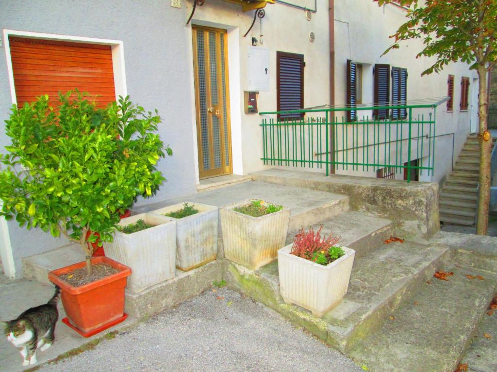 LA CASA DEI NONNI photo 2