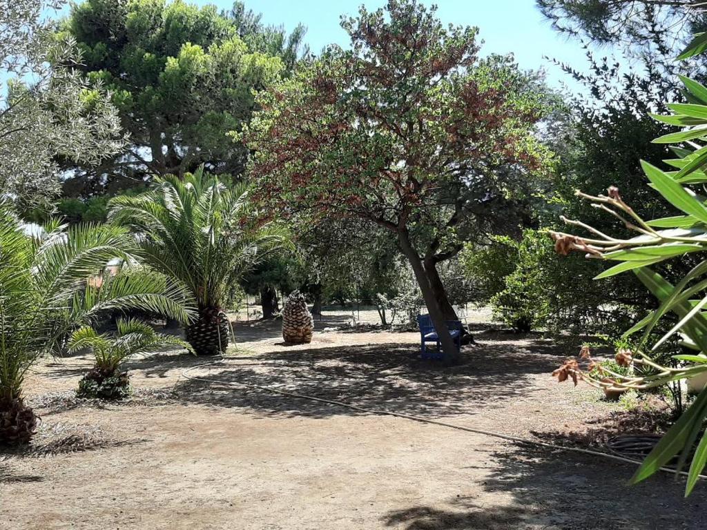 Superb architect villa 230m2 near beach south France photo 2
