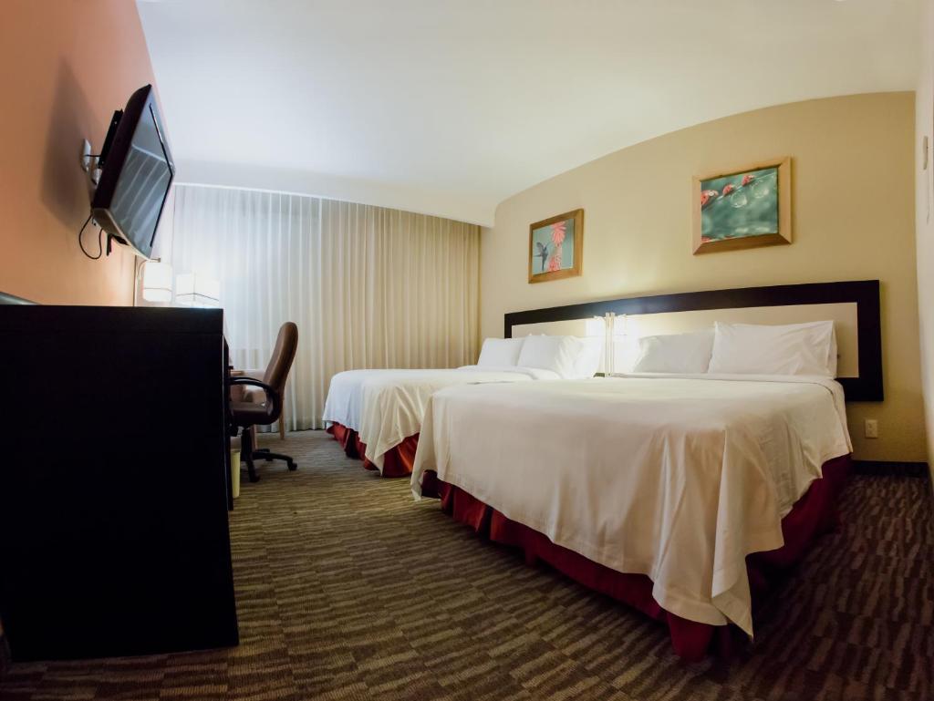 Excellence Express & Suites photo 3