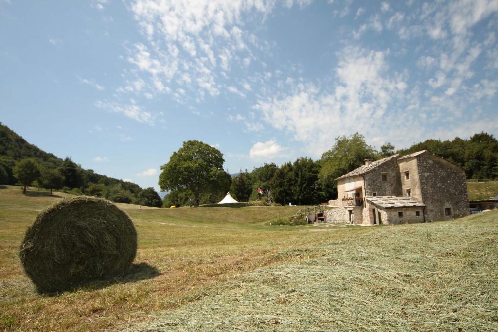 Agriturismo Malga Riondera photo 4