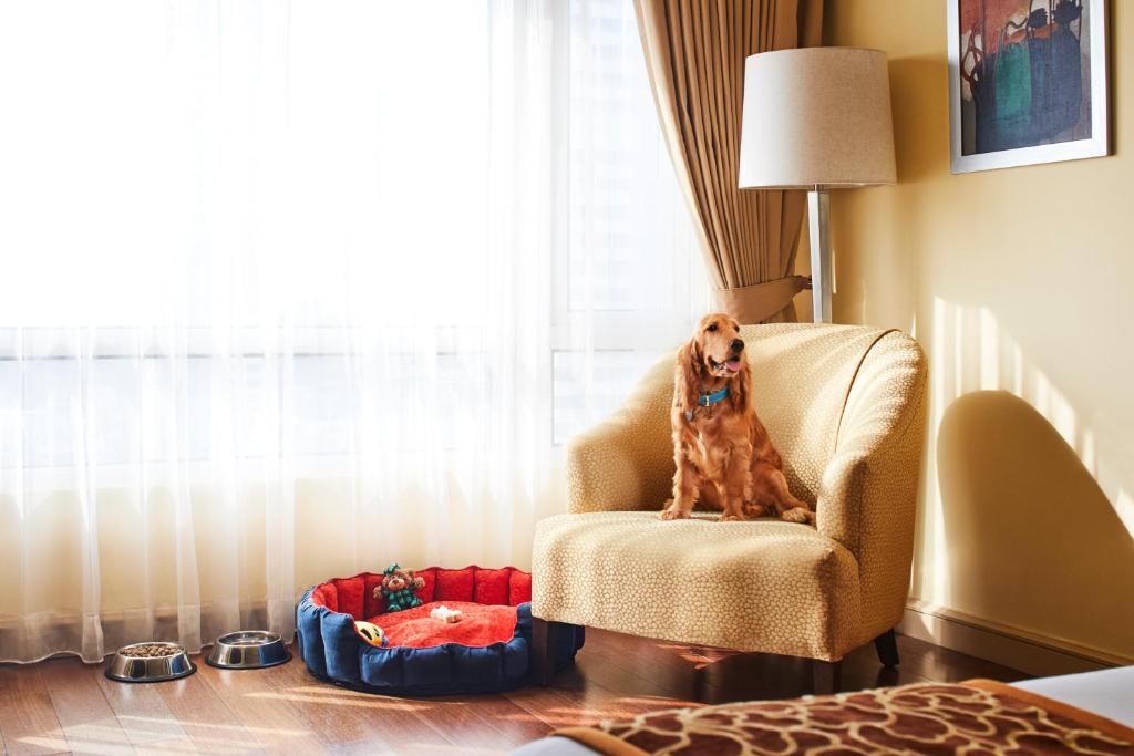 Двухместный (Superior Room City View Twin Bed - 15% off on Trattoria food and soft beverage (Offer till Sep 30,2021), 20% off on Fleet Assured Services), Vivanta by Taj President