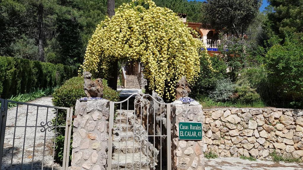 Casas el Calar del Rio Mundo photo 2