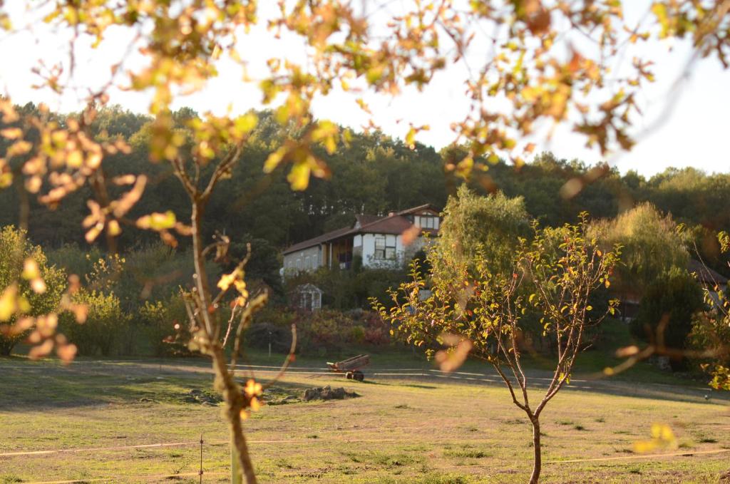 Torre Tanquián Eco Finca - Ribeira Sacra photo 2