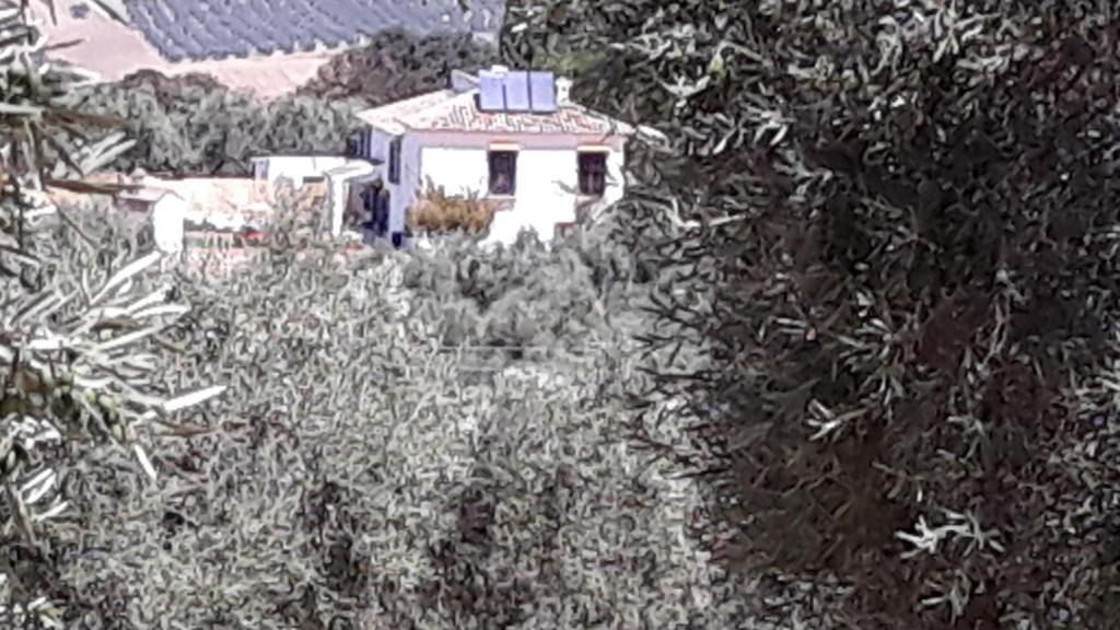 Cortijo la Dehesa del Trabuco photo 2