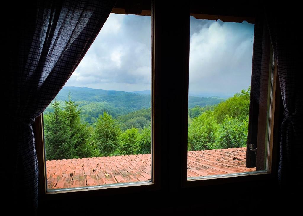 Guest House Lagotto's Peak photo 3