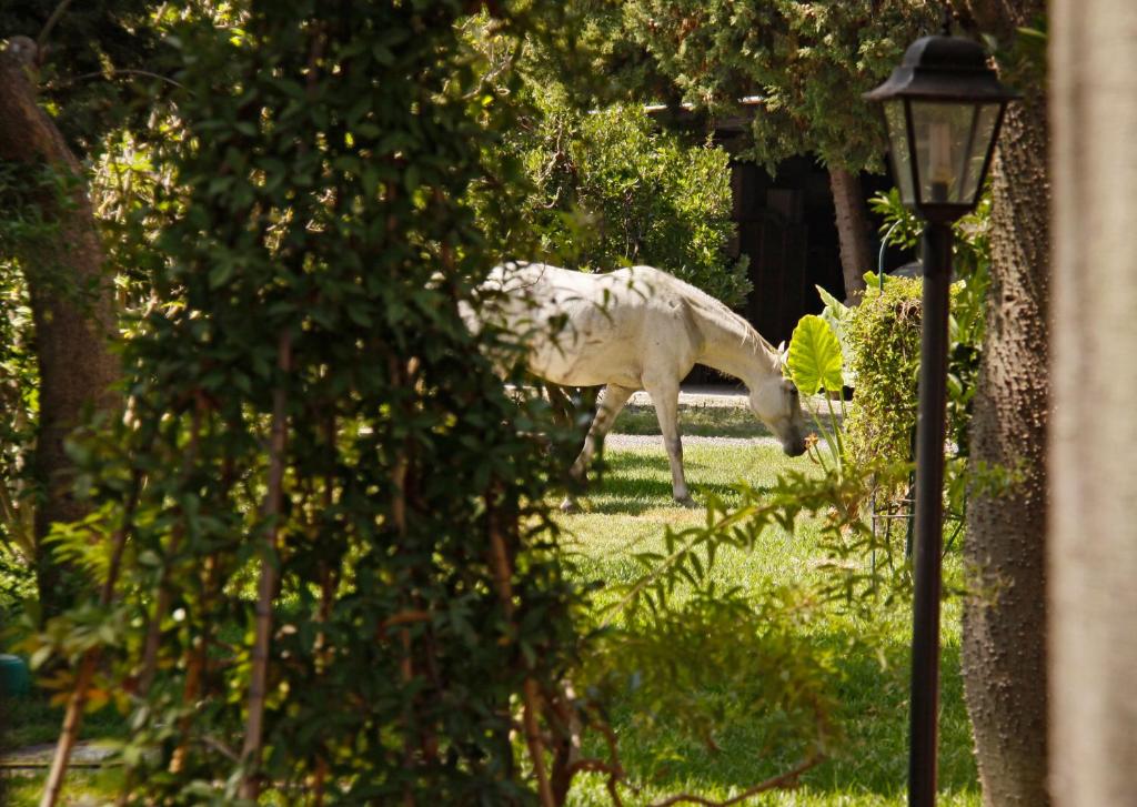 B&B La Villa photo 4