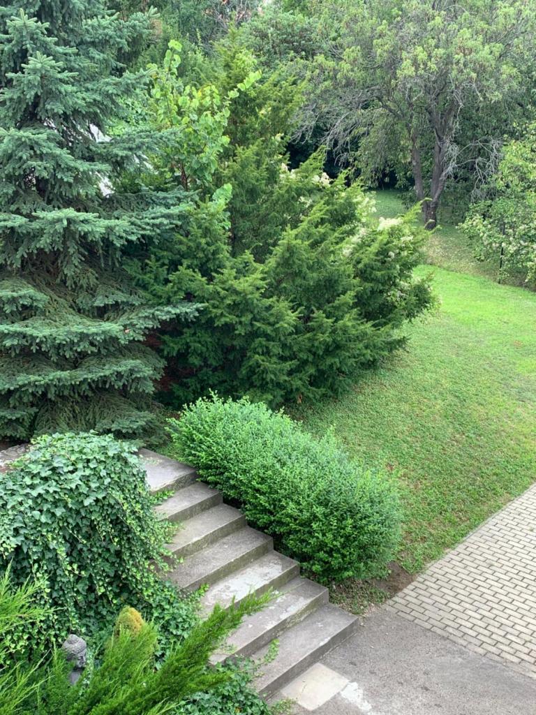 Maharaja Mountain Palace with Free Privat Parking and Garden photo 1