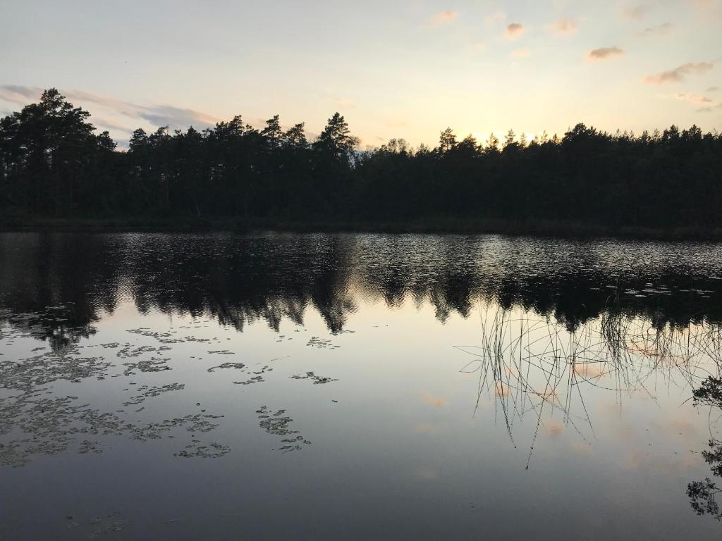 Täppans B&B photo 3