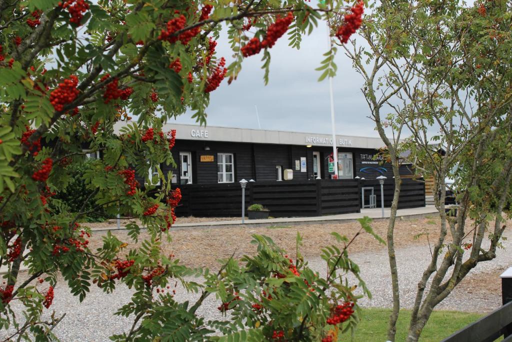 Toftum Bjerge Camping & Cottages photo 1