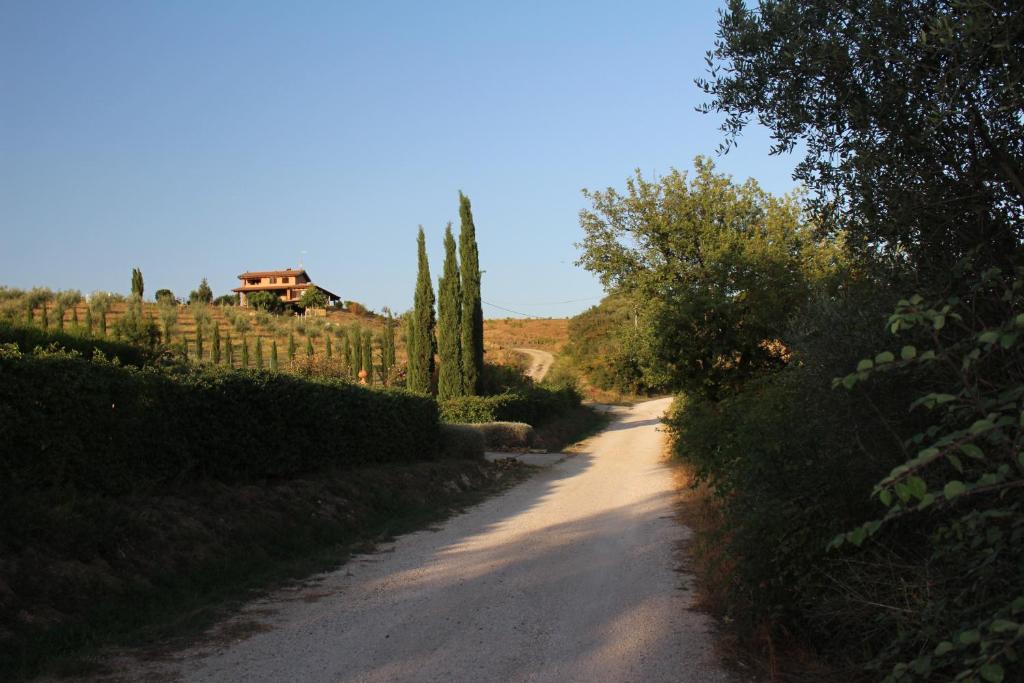 Maremma che vista! photo 1