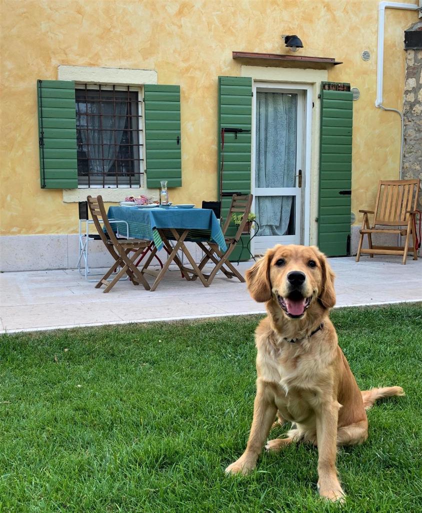 A casa di Hugo photo 1