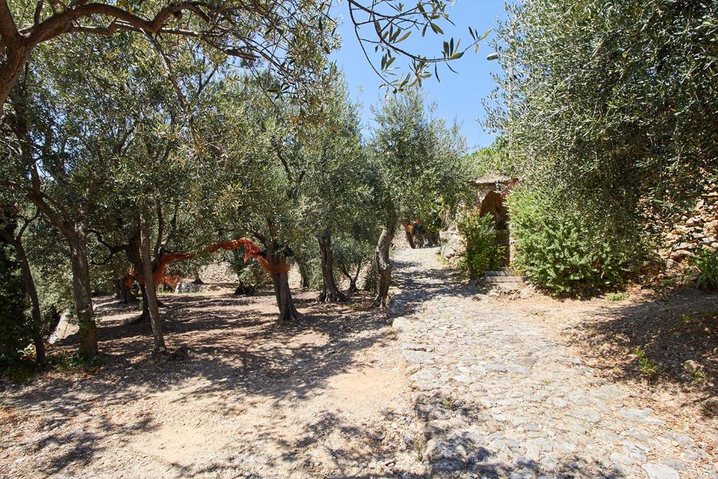 Villa vista mare il Cipressetto photo 4