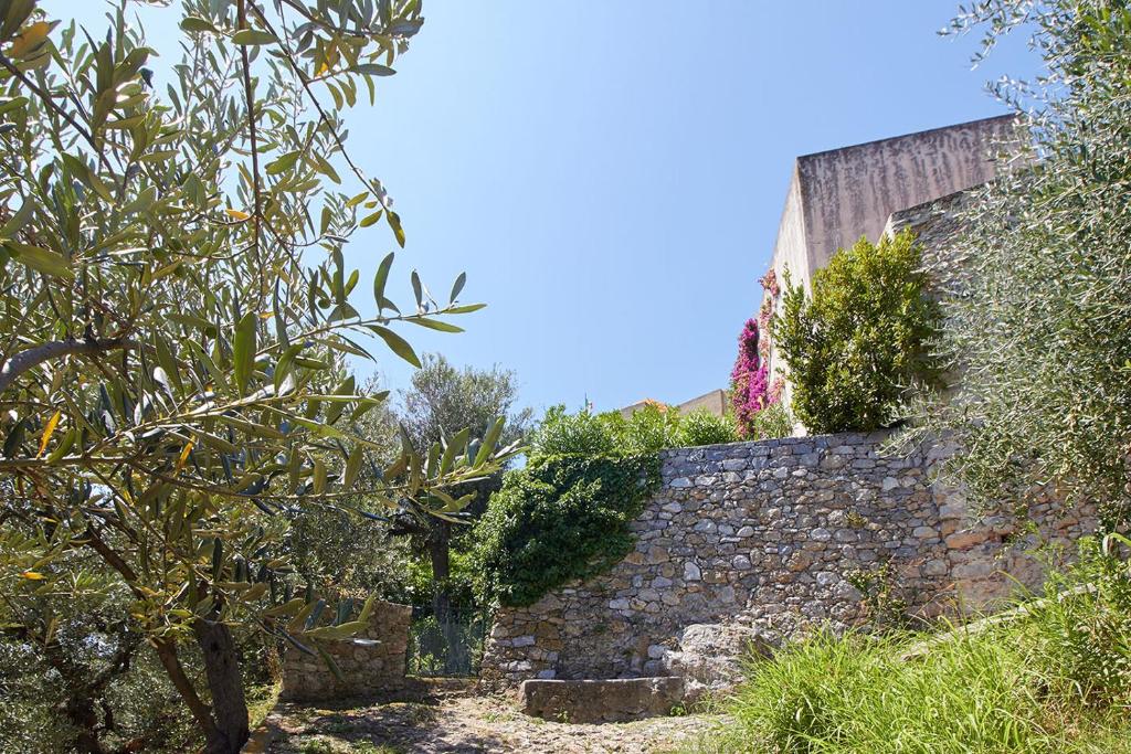 Villa vista mare il Cipressetto photo 3