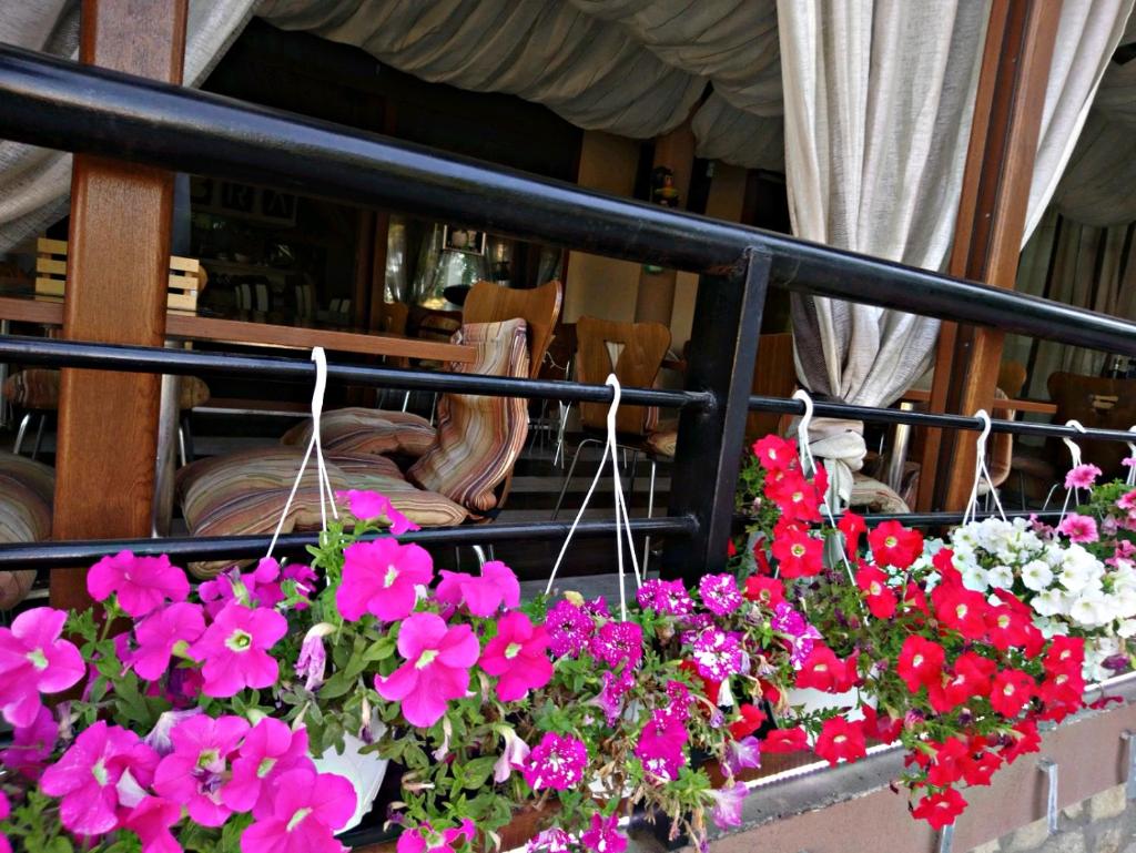 Hotel Scorpion photo 3