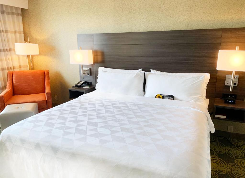 Holiday Inn University Area Charlottesville, an IHG Hotel photo 2