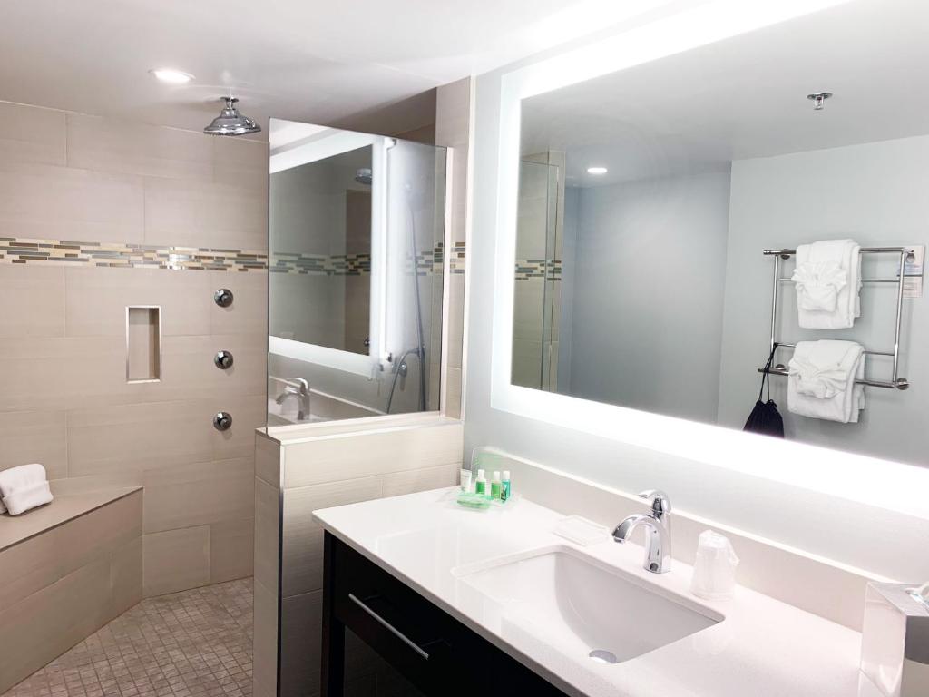 Holiday Inn University Area Charlottesville, an IHG Hotel photo 3