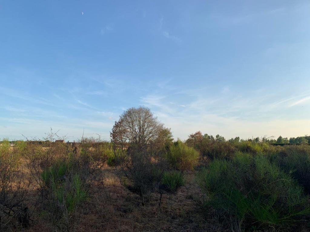 Astrotel Romorantin-Lanthenay - Thumbnail image