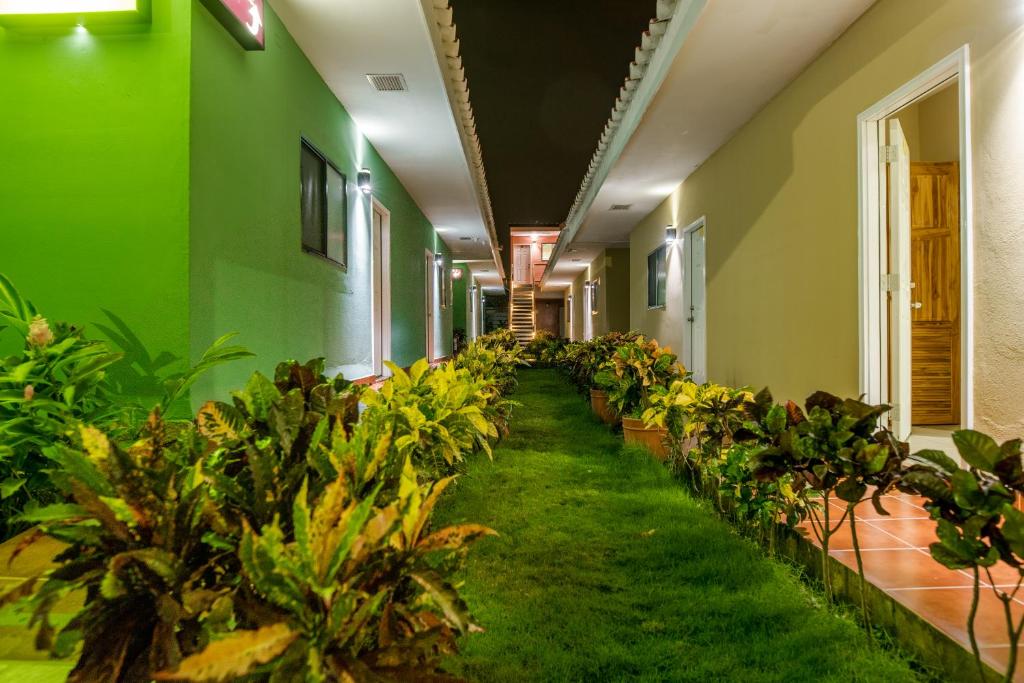 Hotel Los Chilamates photo 3