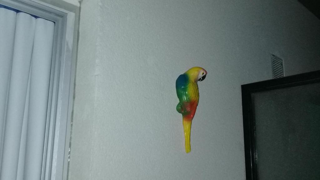 Departamento Moderno Y Confortable photo 3