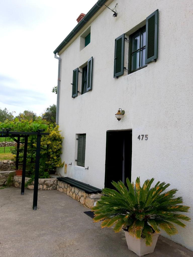 Country house Viskic photo 4