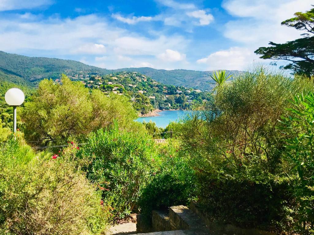 Mazet « Domaine de la pinède » photo 3