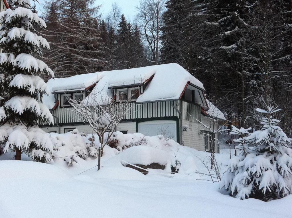 Villa Regina photo 2