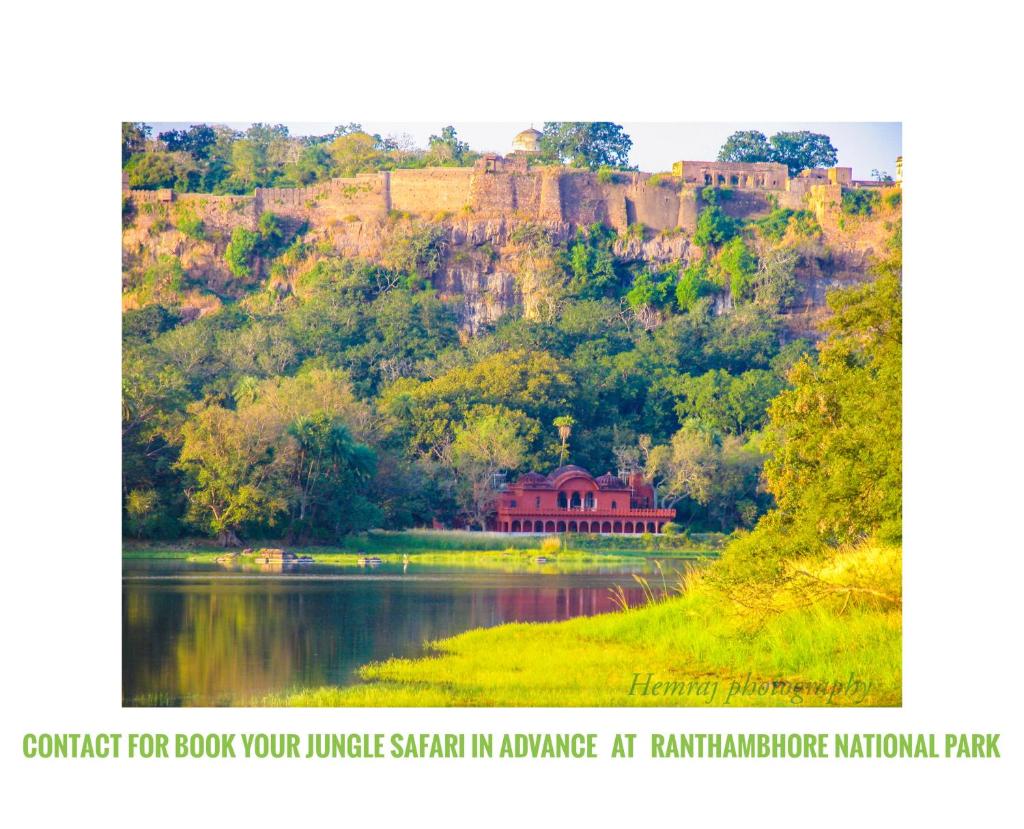 Ranthambore Tiger Home photo 3