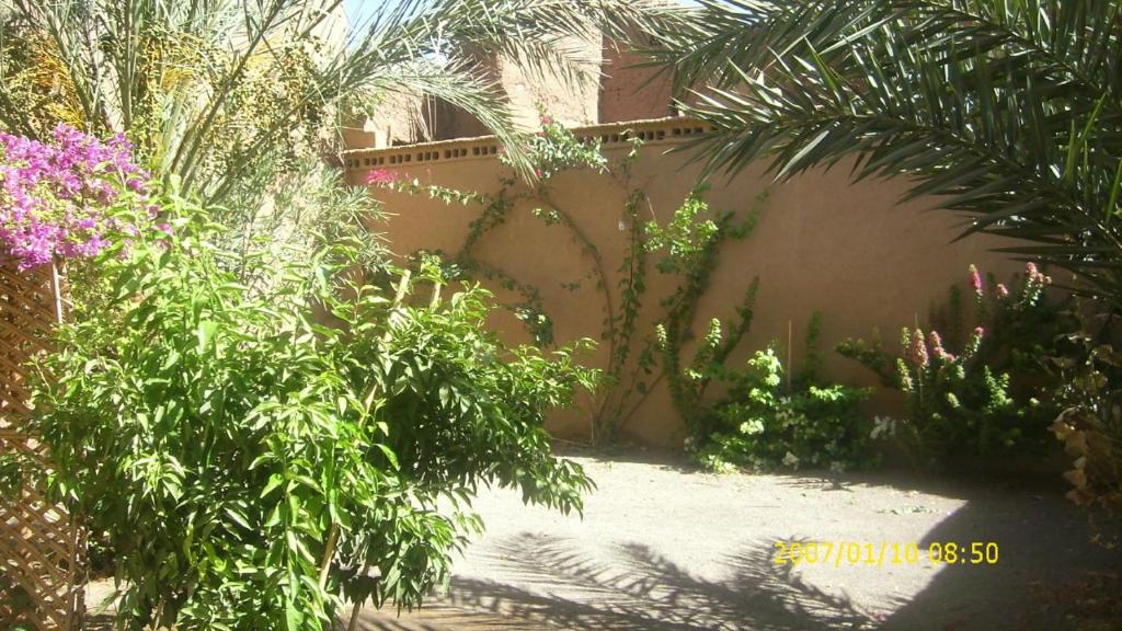 kasbah timidarte photo 4