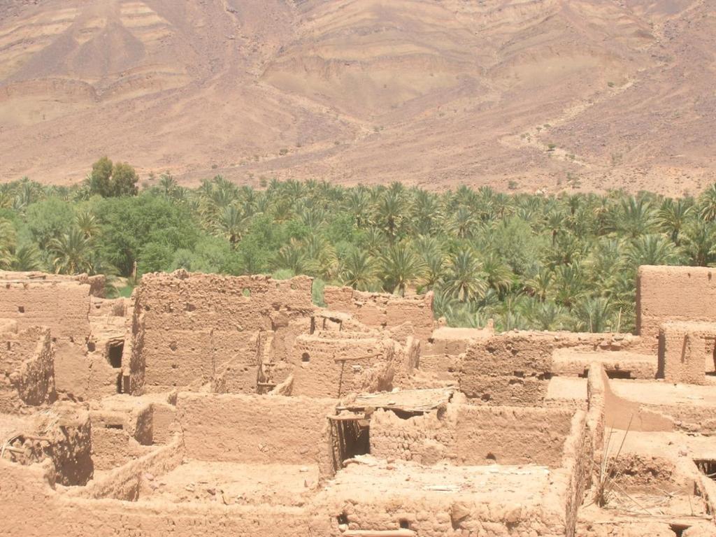 kasbah timidarte photo 3
