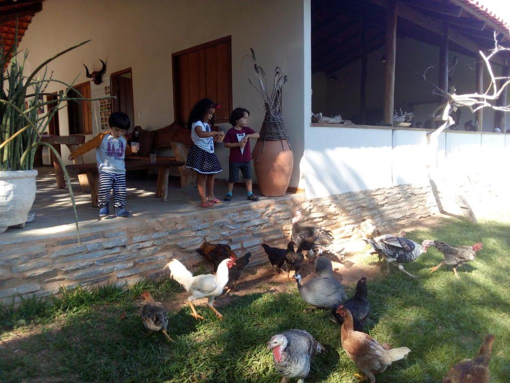 Pouso Divino dos Pireneus photo 2