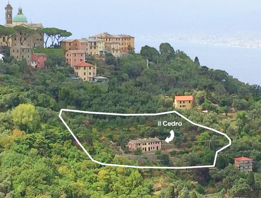 Villa Olivari - apt il Cedro photo 2