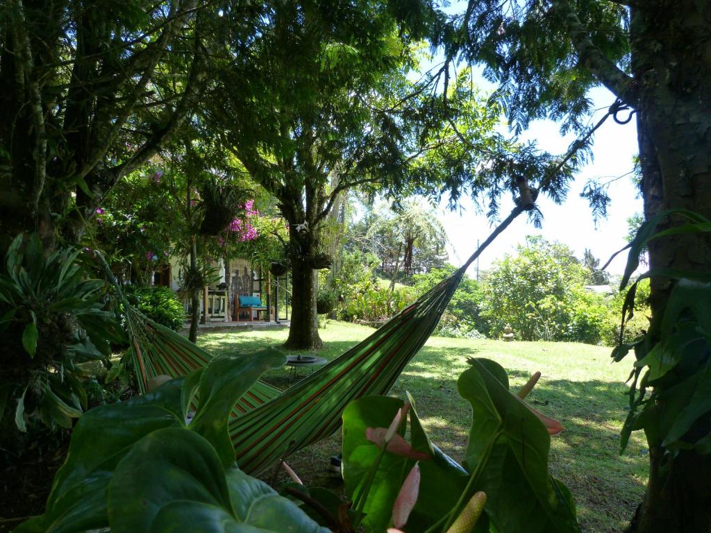 Casa Jade photo 1