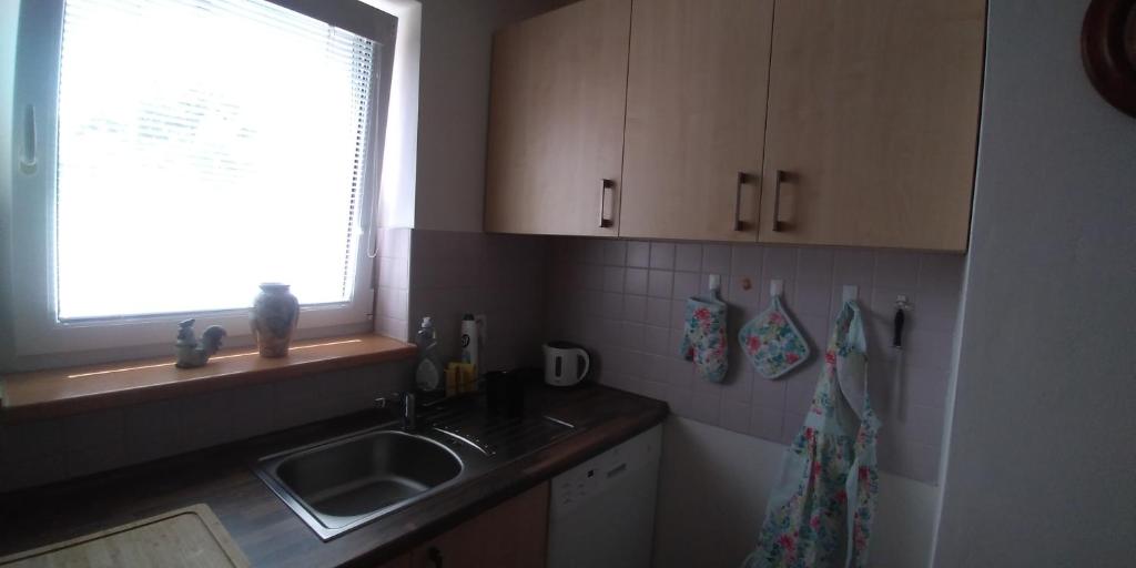 Apartmán u potoka photo 3