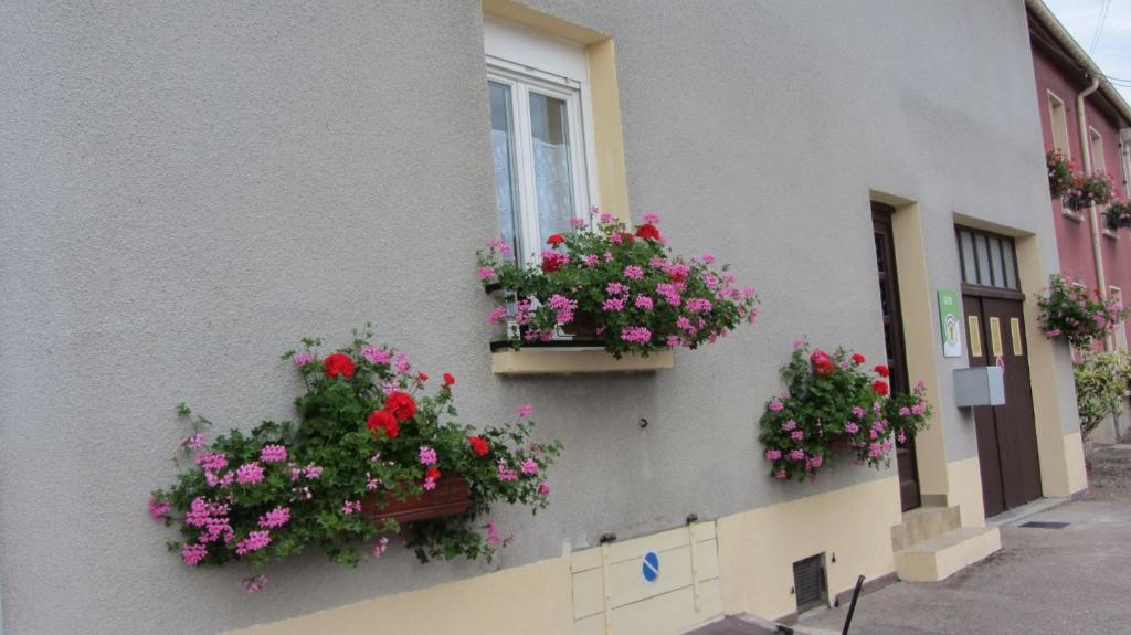 Gîte du Gué photo 4