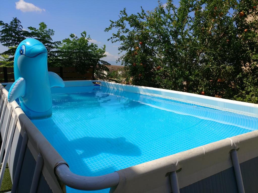 Assaf's place - המקום של אסף photo 3